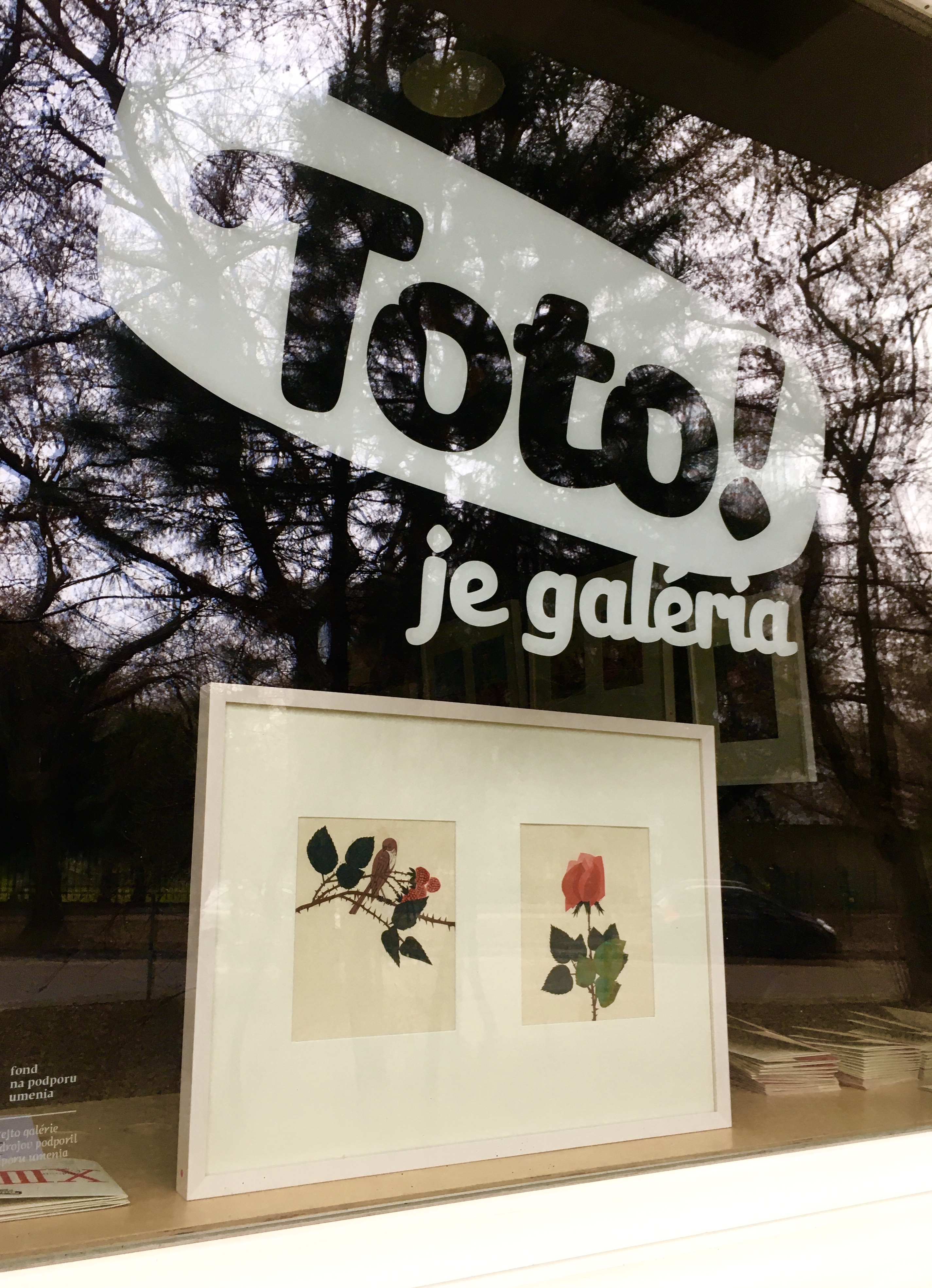 cez okno jarmila cihankova