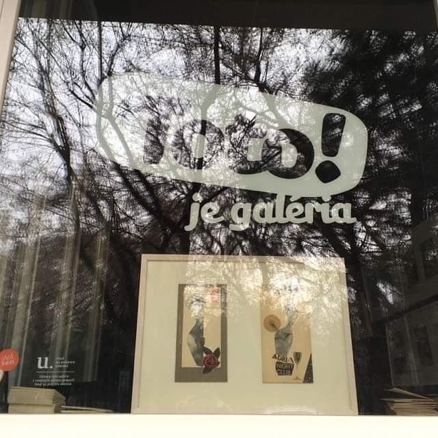 cez okno anastazia miertusova