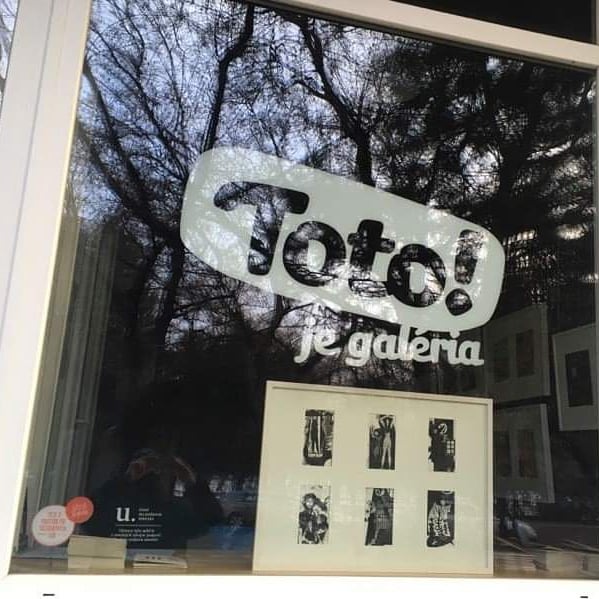 cez okno nada rappensbergerova-jankovicova